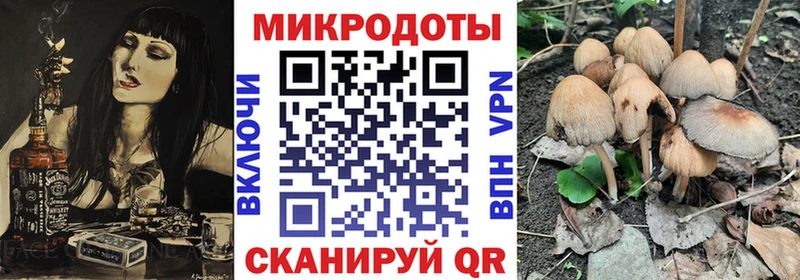 OMG вход  Спасск-Рязанский  Псилоцибиновые грибы Magic Shrooms 