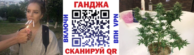 Бошки Шишки план  где купить наркотик  Спасск-Рязанский 